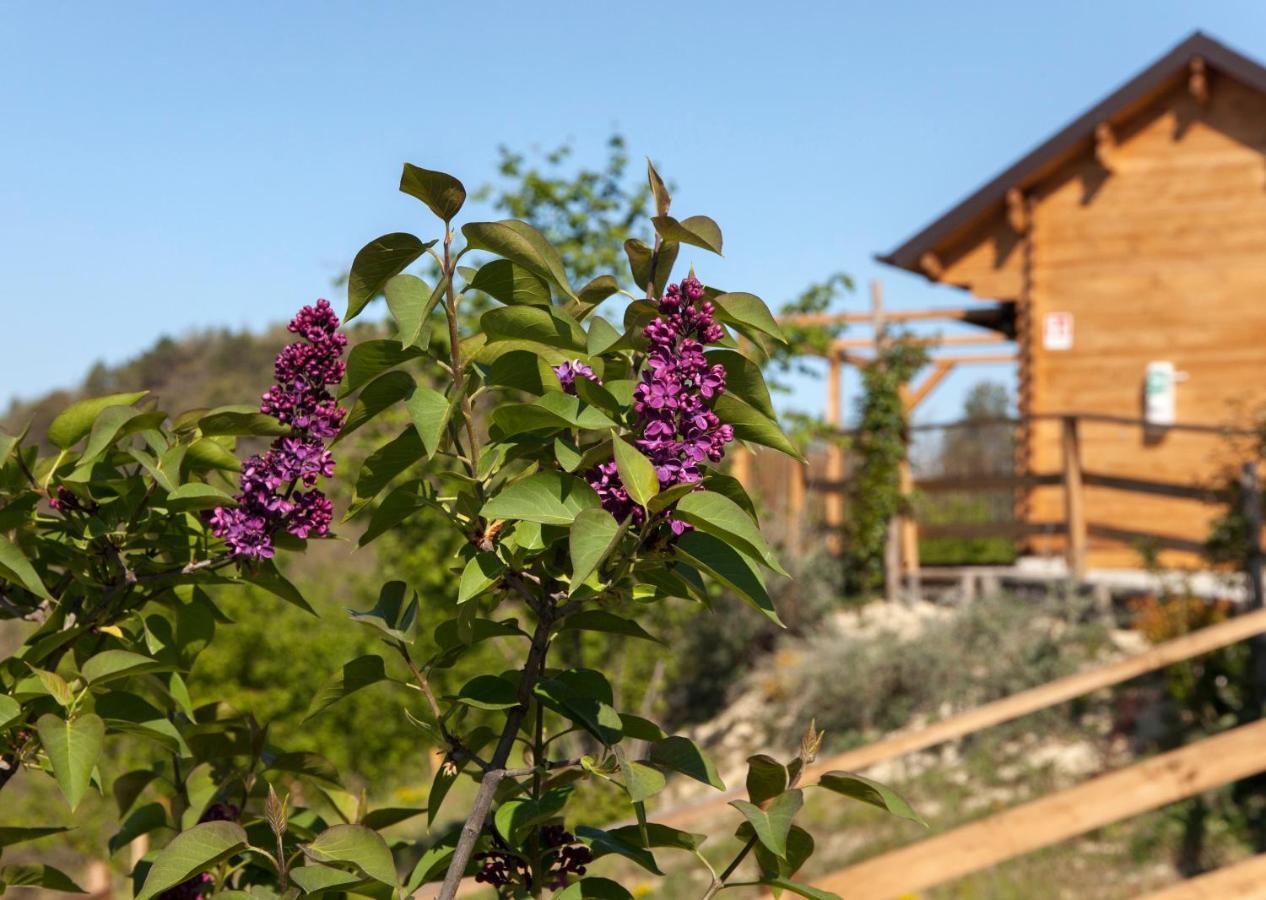 Pian Del Mund Hotel Borgomale Екстериор снимка